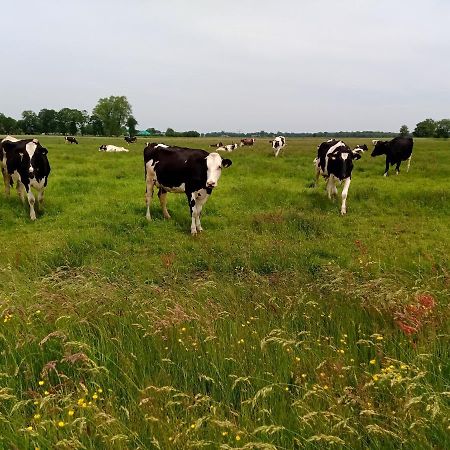 Fewo Unner'D Kastanje Moormerland ภายนอก รูปภาพ