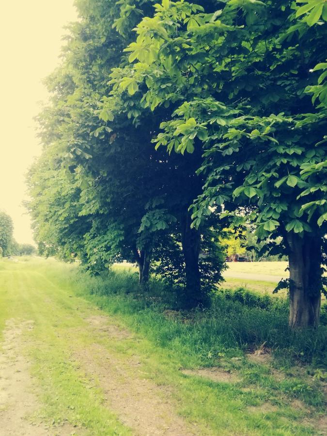 Fewo Unner'D Kastanje Moormerland ภายนอก รูปภาพ