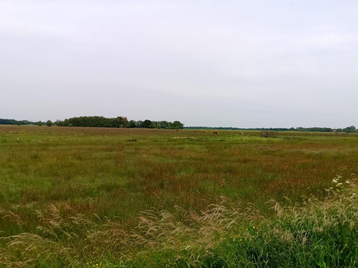 Fewo Unner'D Kastanje Moormerland ภายนอก รูปภาพ